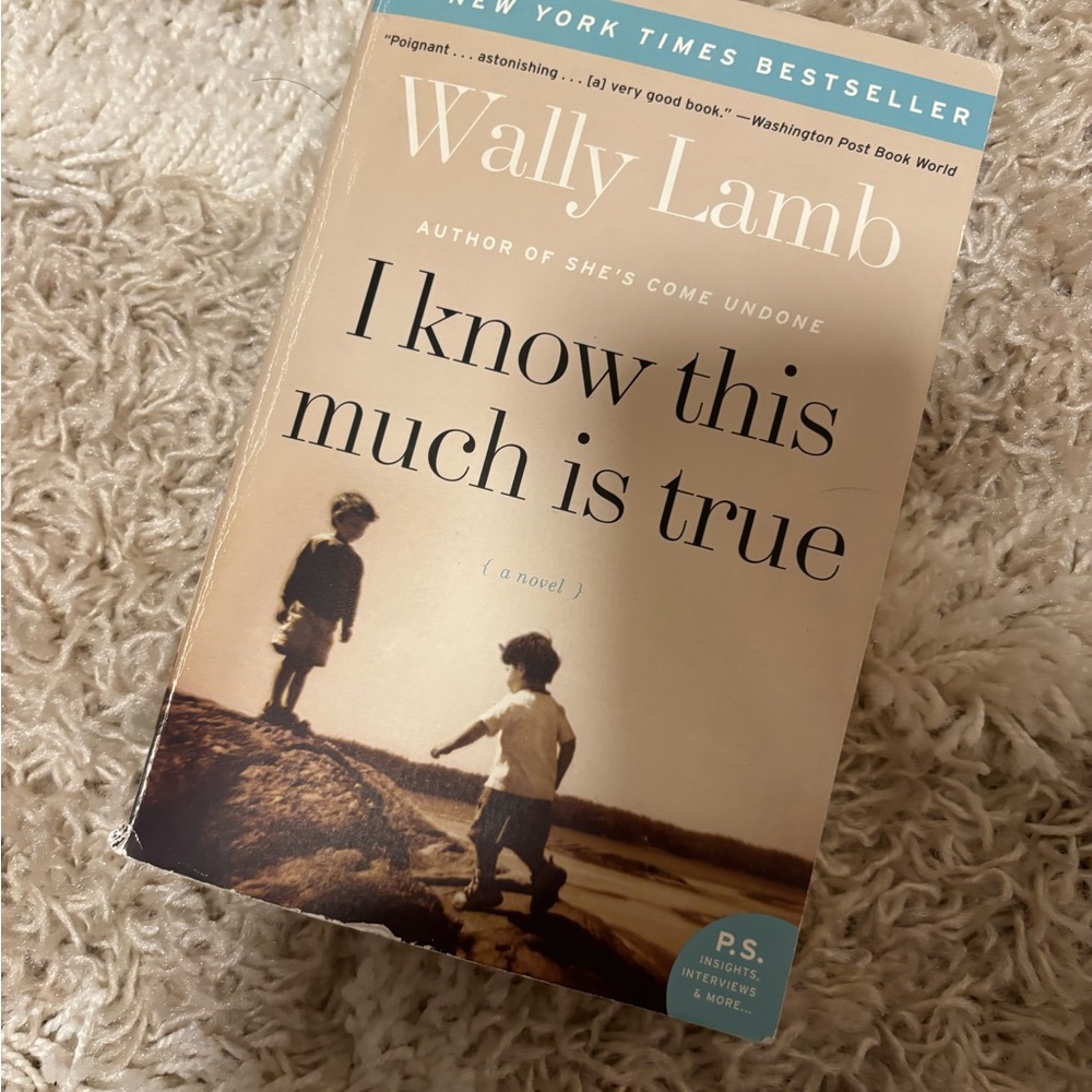 I Know This Much Is True by Wally Lamb